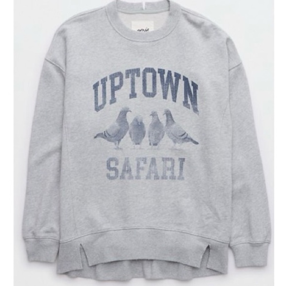 Aerie sweatshirt- XL